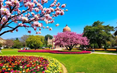 Chandigarh (UT), India: Best Months for a Weather-Savvy Trip