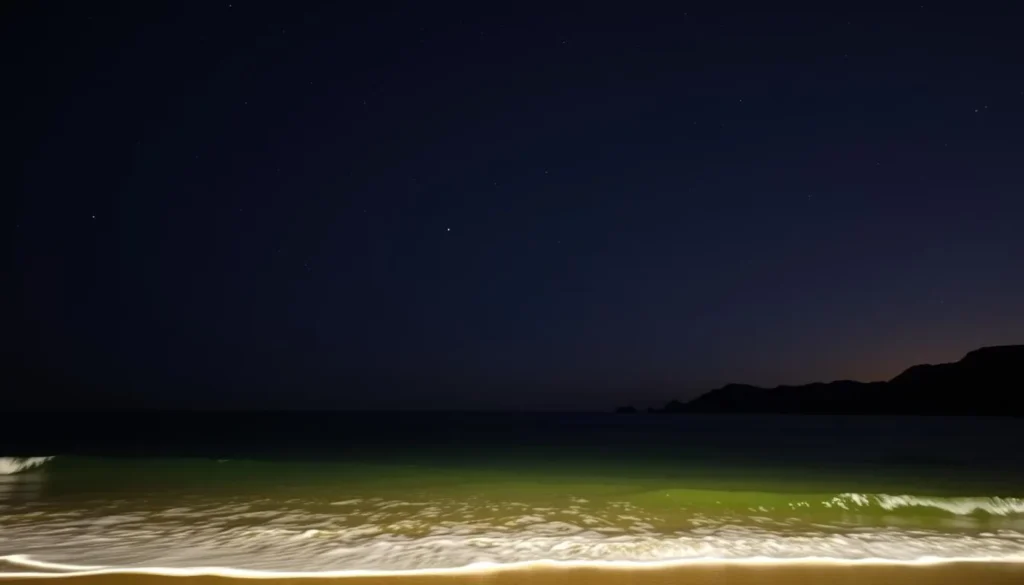 La Paloma beach at night with stars