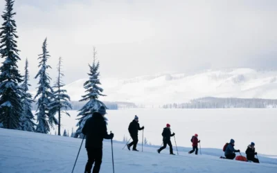 Levi, Finland: Best Things to Do – Top Picks