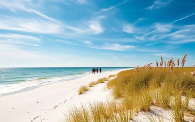 Masonboro Island, North Carolina: Best Things to Do – Top Picks