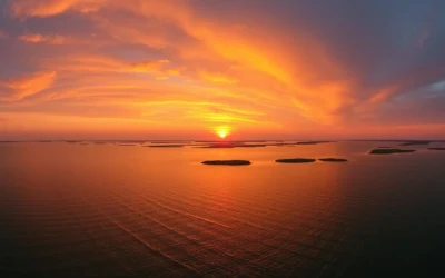 The Point Island, North Carolina: Best Things to Do – Top Picks