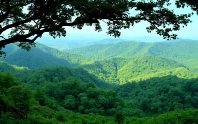 Baroiyadhala National Park, Bangladesh: Best Things to Do – Top Picks