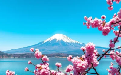 Fuji Hakone Izu National Park, Japan: Best Things to Do – Top Picks