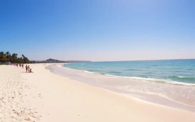 Punta del Este, Uruguay: Best Things to Do – Top Picks
