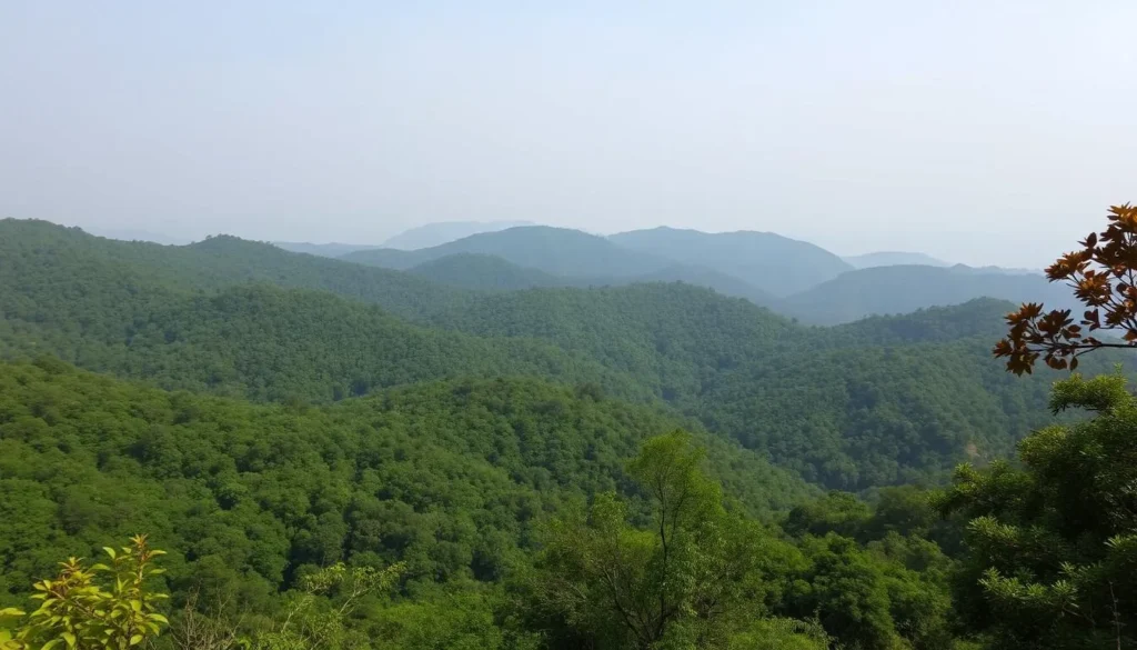 Scenic view of Sitakunda Eco-Park with hills and forest