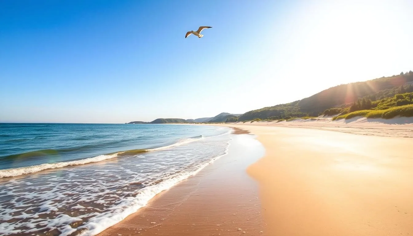 Serene golden sand beaches of Gotska Sandon Island, Sweden, gently lapped by the tranquil Baltic Sea under a cloudless azure sky. Sunlight glimmers on the placid waves, casting a warm glow over the picturesque coastal landscape. Towering sand dunes and lush, verdant vegetation frame the idyllic shoreline, creating a peaceful, natural atmosphere. A lone seagull soars overhead, completing the picturesque scene. Capture the beauty and tranquility of this remote, unspoiled Baltic island paradise through a wide-angle lens, showcasing the breathtaking coastal vistas.