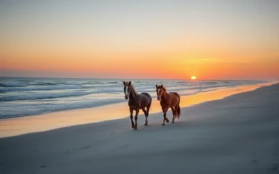 Assateague Island, Maryland: Best Things to Do – Top Picks