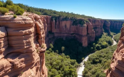 Carnarvon Gorge, Queensland: Best Things to Do – Top Picks