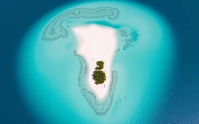 Conception Island, Bahamas: Best Things to Do – Top Picks
