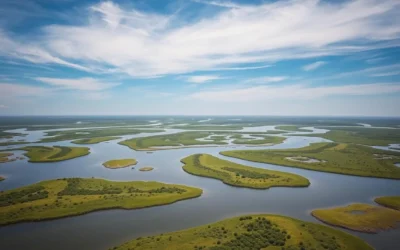 Ibera National Park, Argentina: Best Things to Do – Top Picks