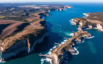 Kattang Nature Reserve, New South Wales: Best Things to Do – Top Picks