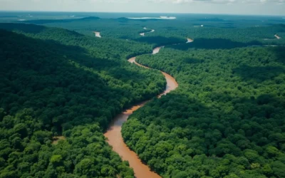 Madidi National Park, Bolivia: Best Things to Do – Top Picks