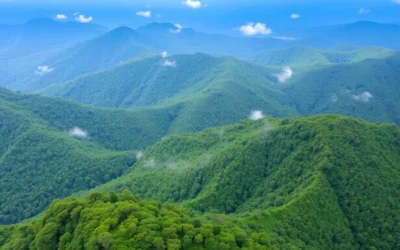 Montana de Botaderos Carlos Escaleras Mejia Nat’l Park, Honduras: Best Things to Do – Top Picks