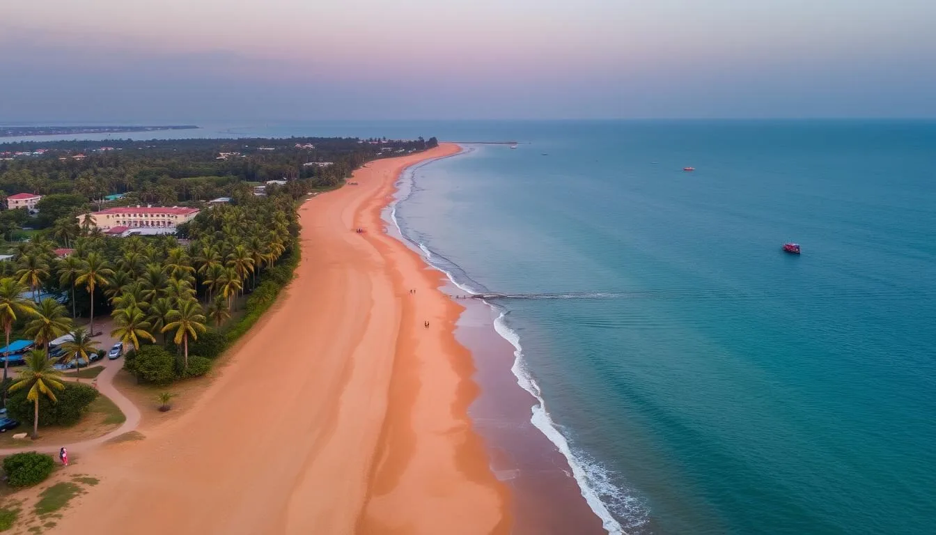 Aerial view of Negombo beach at sunset with palm trees and golden sand stretching along the coastline