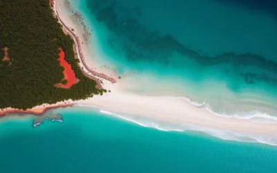 Nhulunbuy, Northern Territory: Best Things to Do – Top Picks