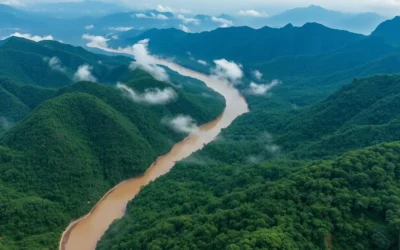 Phou Xieng Thong National Protected Area, Laos: Best Things to Do – Top Picks