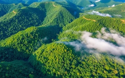 Ranomafana National Park, Madagascar: Best Things to Do – Top Picks