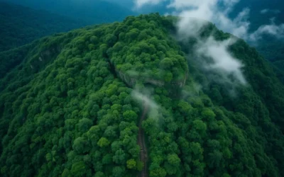 Ritigala Mountain Range, Sri Lanka: Best Things to Do – Top Picks