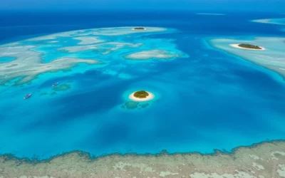 Turneffe Atoll, Belize: Best Things to Do – Top Picks