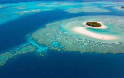 Wakatobi National Park, Indonesia: Best Things to Do – Top Picks