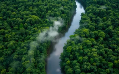 Amazon Jungle, Ecuador: Best Things to Do – Top Picks