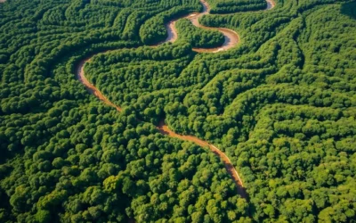 Amazon Rainforest, Brazil: Best Things to Do – Top Picks