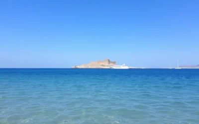 Al Shamal, Qatar: Best Things to Do – Top Picks