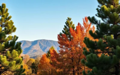 Coahuila, Mexico: Best Things to Do – Top Picks