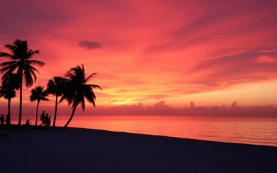 Honeymoon Island State Park, Florida: Best Things to Do – Top Picks