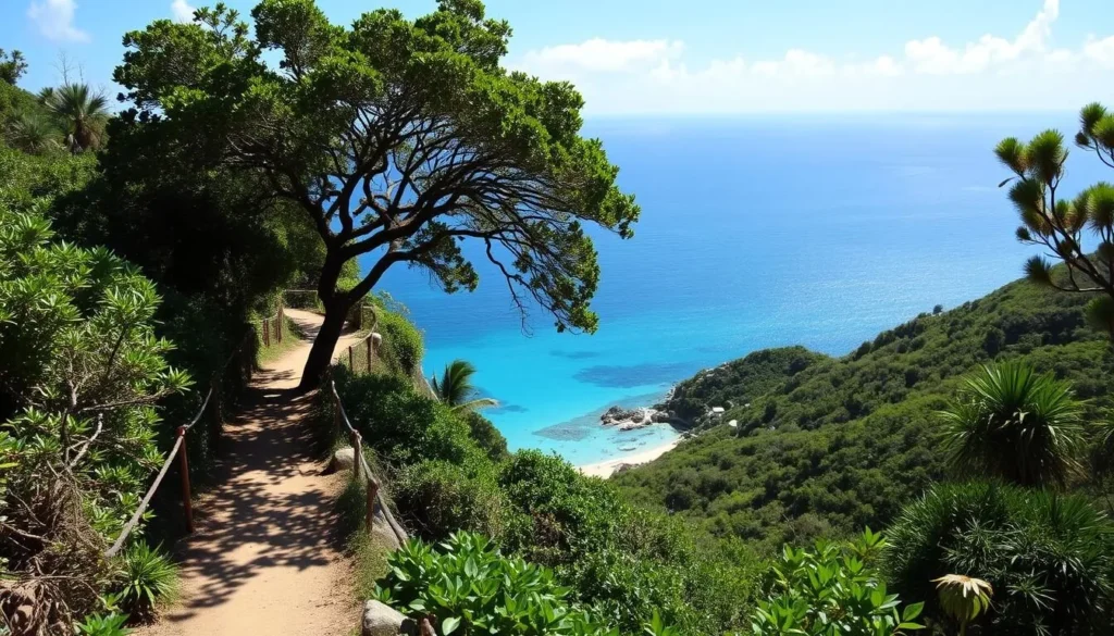 Colombier hiking trail with ocean views and tropical vegetation