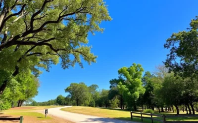 Lake Jackson Mounds Archaeological State Park, Florida: Best Things to Do – Top Picks