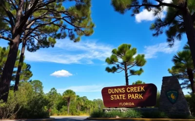 Dunns Creek State Park, Florida: Best Things to Do – Top Picks