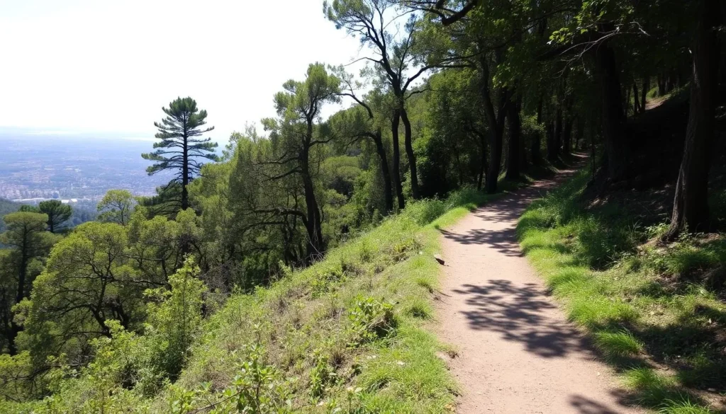 Hiking trail in Cerro Caracol with panoramic views of Concepcion Chile