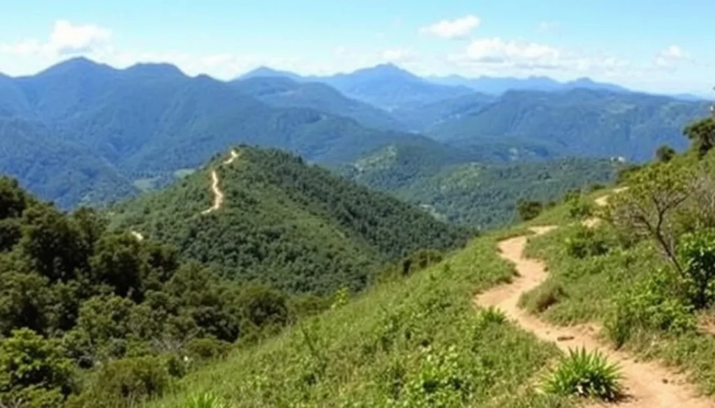 Hiking trail in Sierra de Agalta National Park with mountain views, Honduras