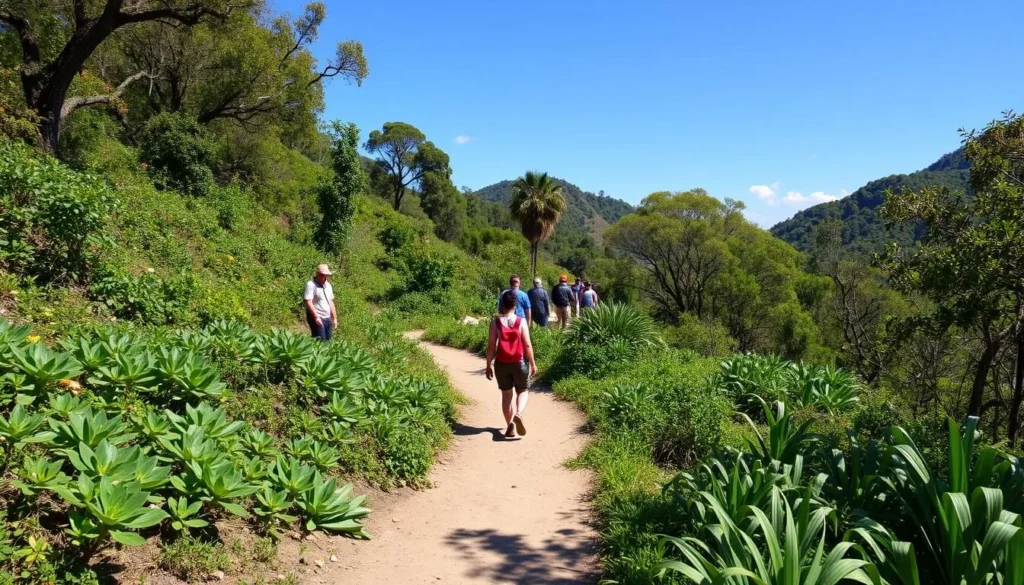 Hiking trail through Sacromonte National Park with diverse vegetation Hiking trail through Sacromonte National Park with diverse vegetation