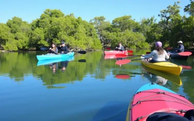 Kalba, United Arab Emirates: Best Things to Do – Top Picks