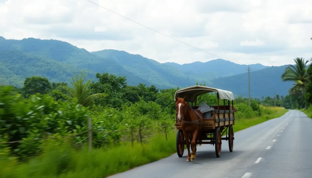 Local transportation in Bartolome Maso with horse-drawn cart on a rural road