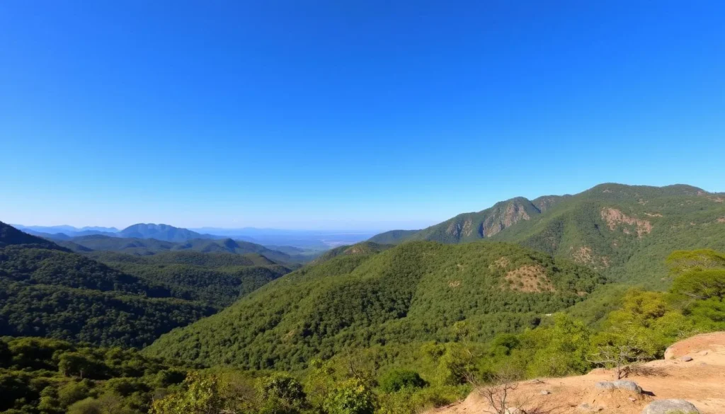 Lush green landscape of Montana de Botaderos Carlos Escaleras Mejia National Park during dry season with clear blue skies