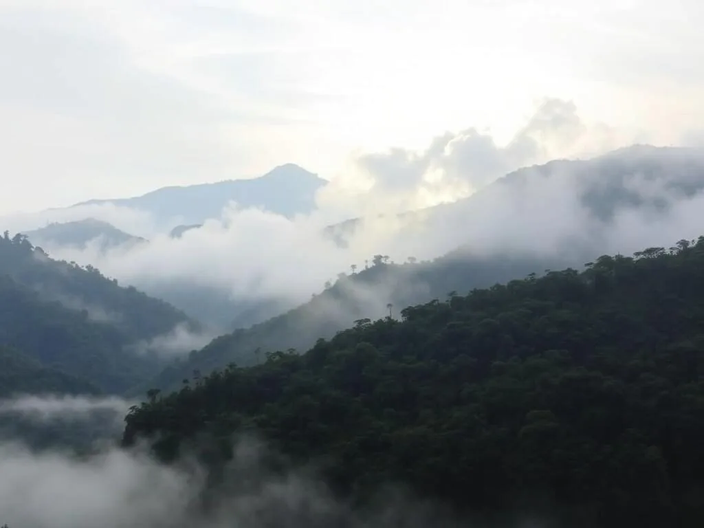 Misty morning view of Gandang Dewata National Park Indonesia during dry season Misty morning view of Gandang Dewata National Park Indonesia during dry season