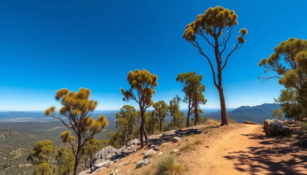 Mount Canobolas walking trail with scenic views Mount Canobolas walking trail with scenic views