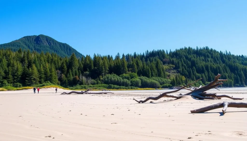North Beach in Naikoon Provincial Park on Haida Gwaii during summer with clear skies and people walking along the shoreline