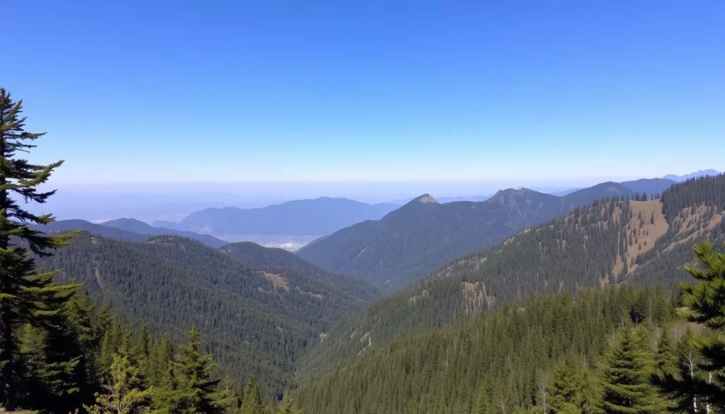 North Brother Mountain in Dooragan National Park near Kattang Nature Reserve