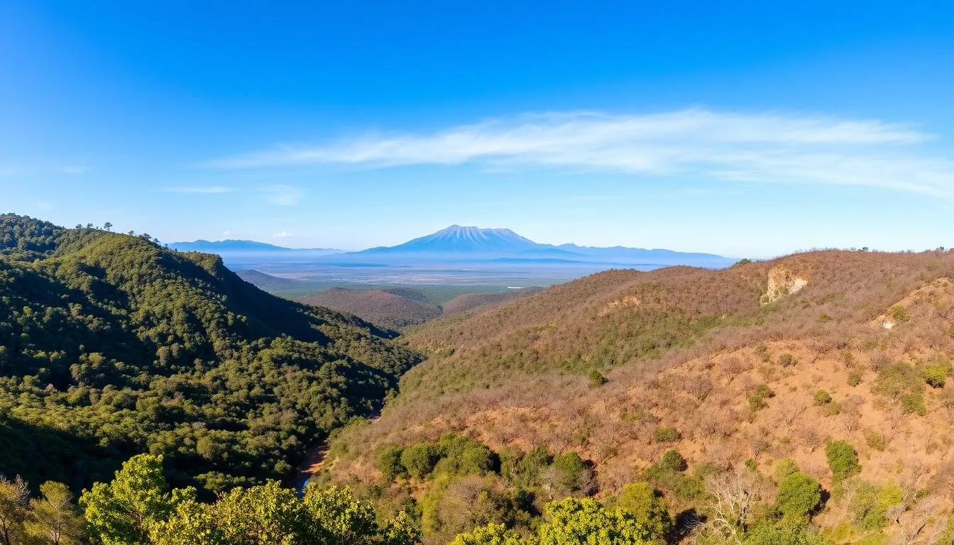 Panoramic-view-of-Andohahela-National-Park-showing-both-rainforest-and-spiny-forest-sections Panoramic view of Andohahela National Park showing both rainforest and spiny forest sections with mountains in the background