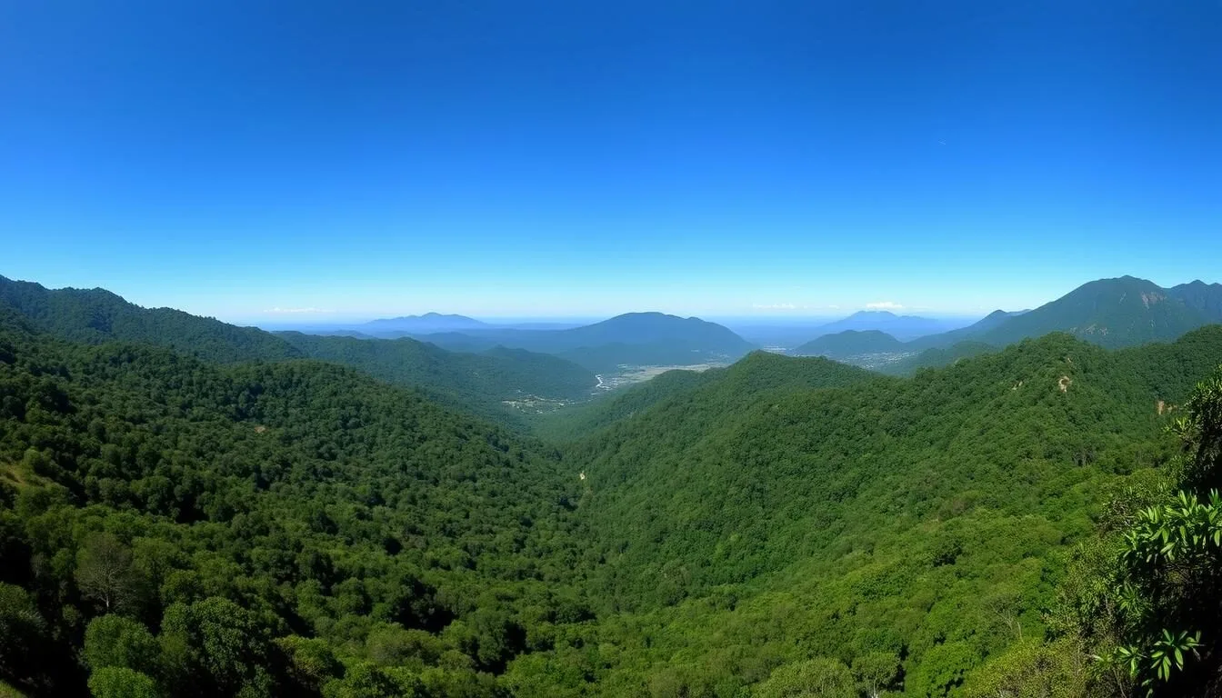 Panoramic-view-of-Insurgente-Jose-Maria-Morelos-y-Pavon-National-Park-showing-lush-forest-and Panoramic view of Insurgente Jose Maria Morelos y Pavon National Park showing lush forest and mountains