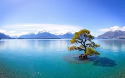 Lake Wanaka, New Zealand: Best Things to Do – Top Picks