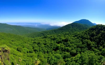 Montagne d’Ambre National Park, Madagascar: Best Things to Do – Top Picks