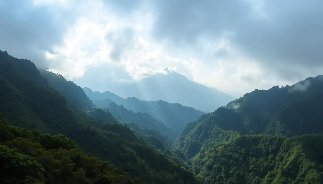Panoramic-view-of-Montana-Santa-Barbara-National-Park-showing-cloud-forest-and-mountain-peaks Panoramic view of Montana Santa Barbara National Park showing cloud forest and mountain peaks