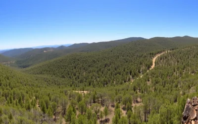 Mount Crawford Forest, South Australia: Best Things to Do – Top Picks
