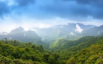 Sierra de Agalta National Park, Honduras: Best Things to Do – Top Picks