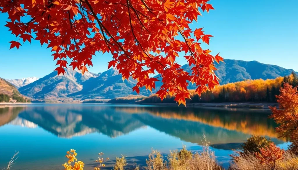 Pumalin Park Chile in autumn with colorful foliage and mountains reflected in a lake